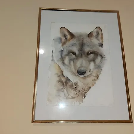 Kaszmirowy